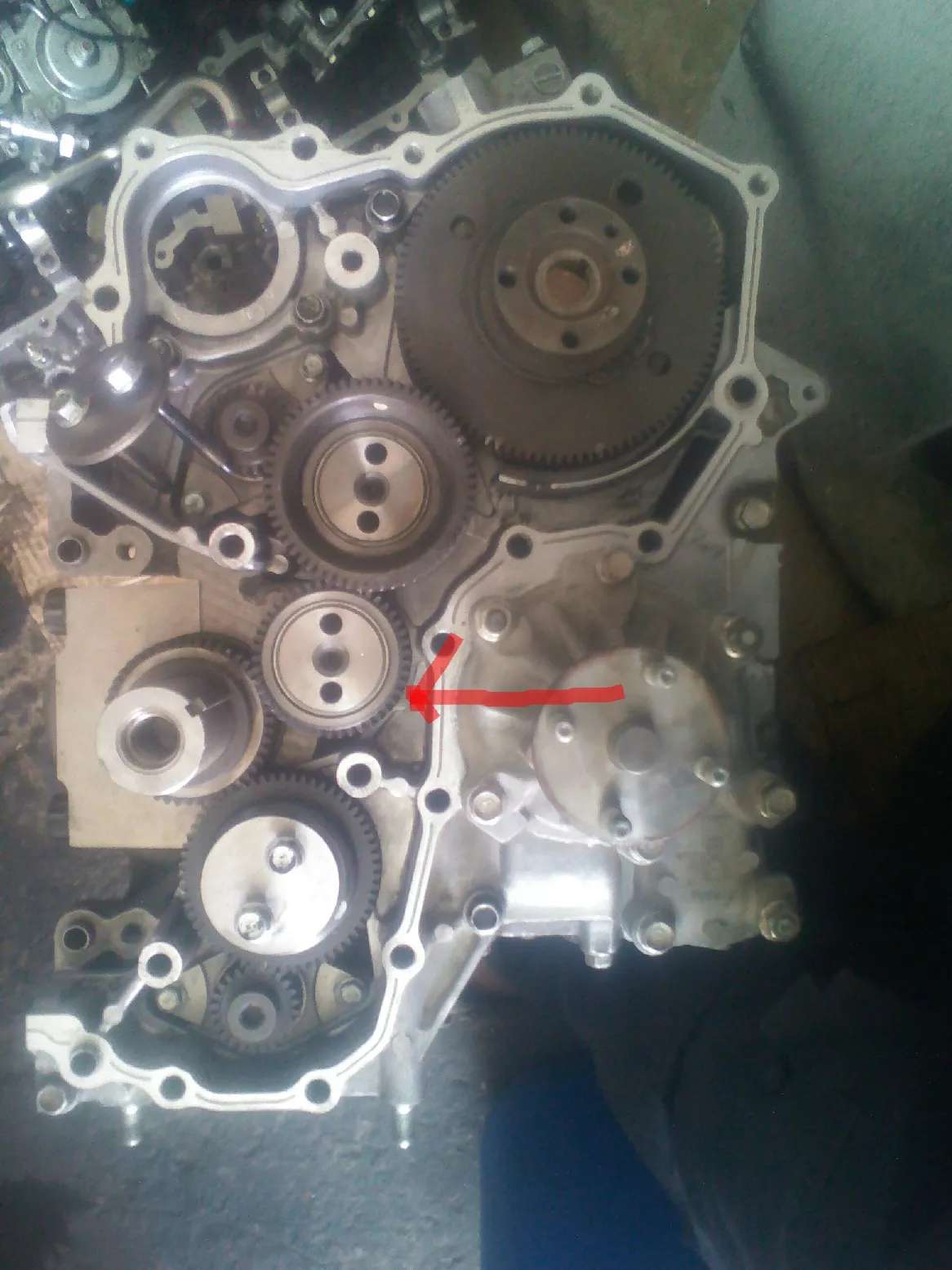 بينيو فربلوكة